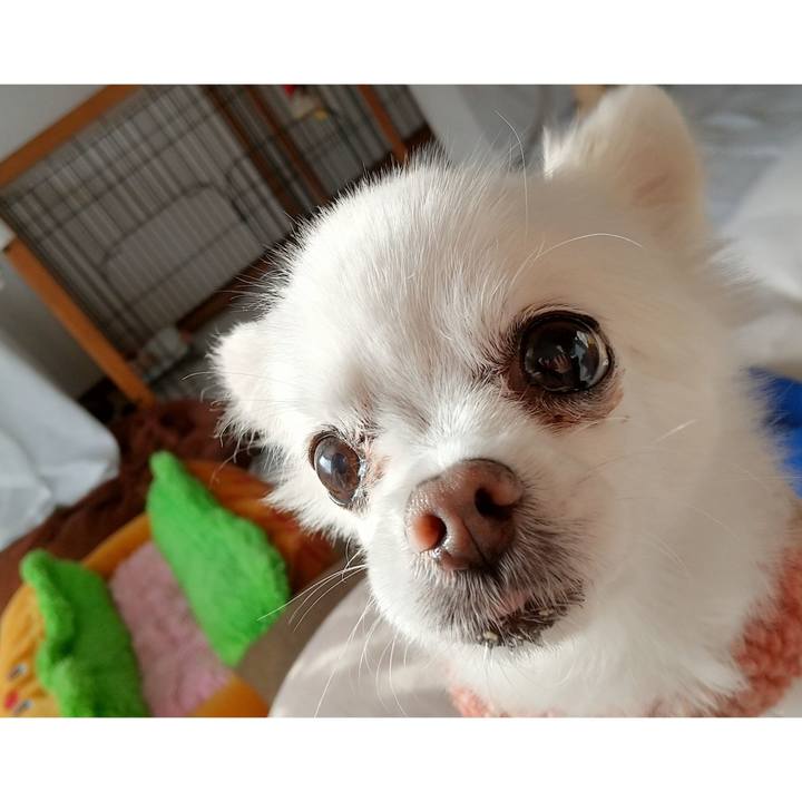 1c207bf1 8032 460a ab71 02c0274e1386 1673868729759