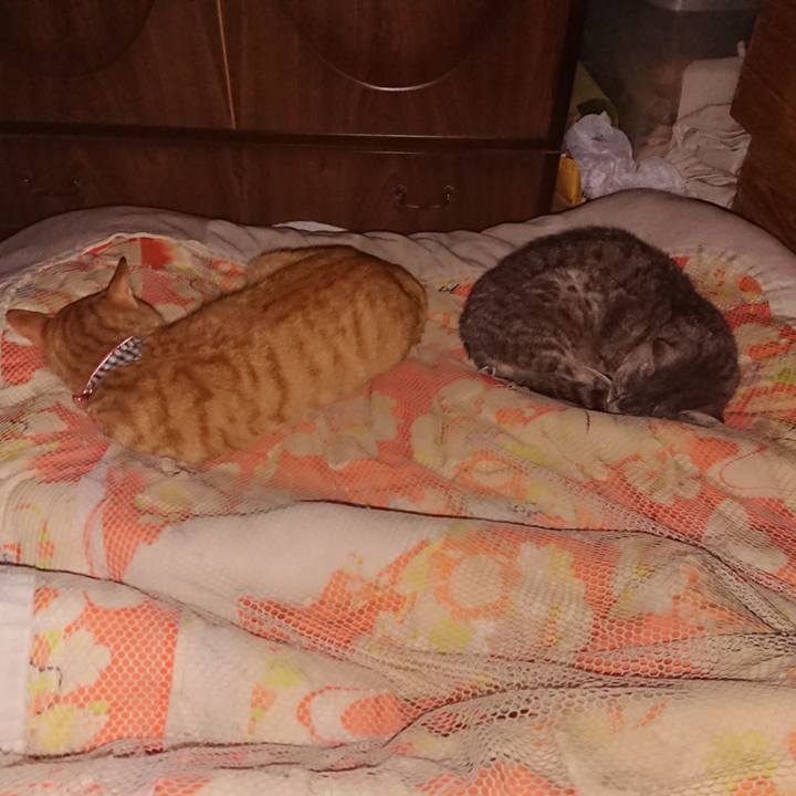 1c2084de f7f8 4ff6 8ab3 fccef6fd6713 1571417823915