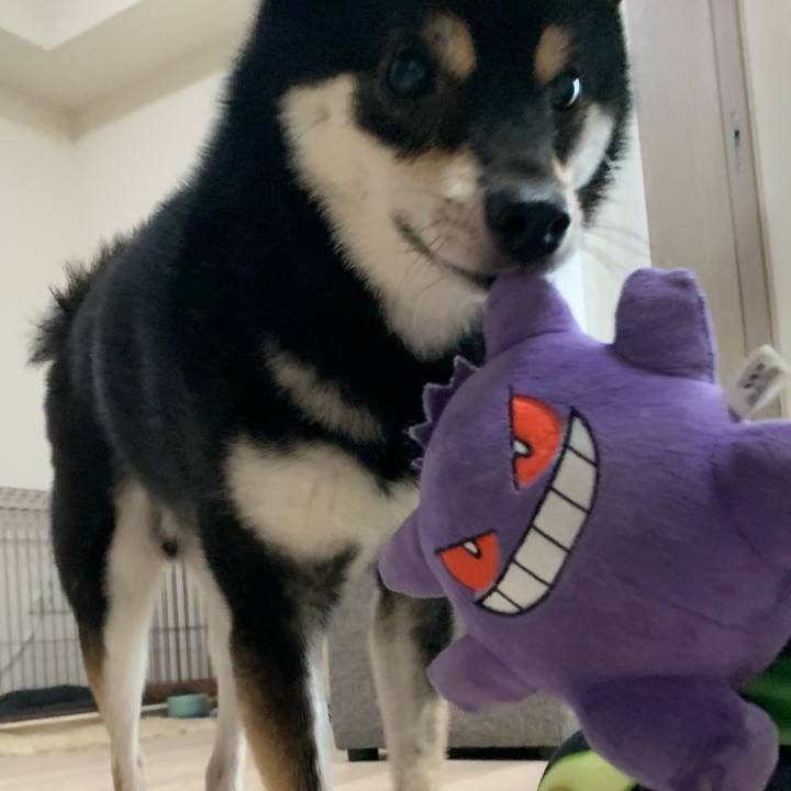 1c20a770 5524 4f44 9e5e 205e24b4d77d 1632786749860