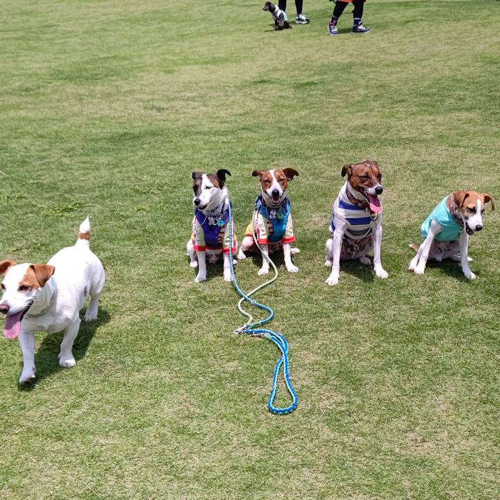 1c20af80 8c98 48fa b8f9 beb5b6d87d97 1654427819879