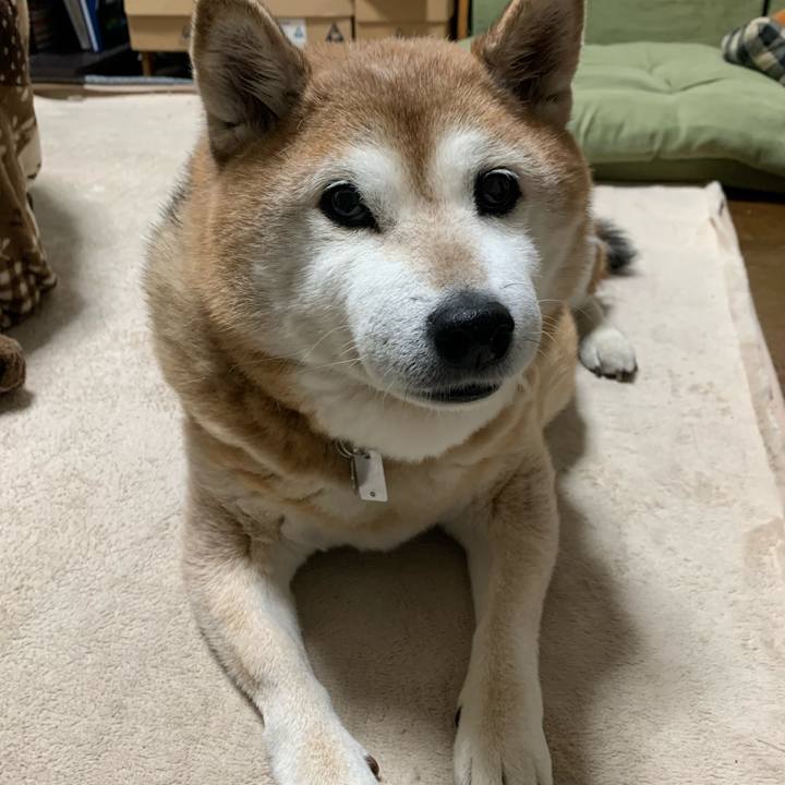 1c20dfbc 1260 407c b0ac be7f86217951 1580632690501