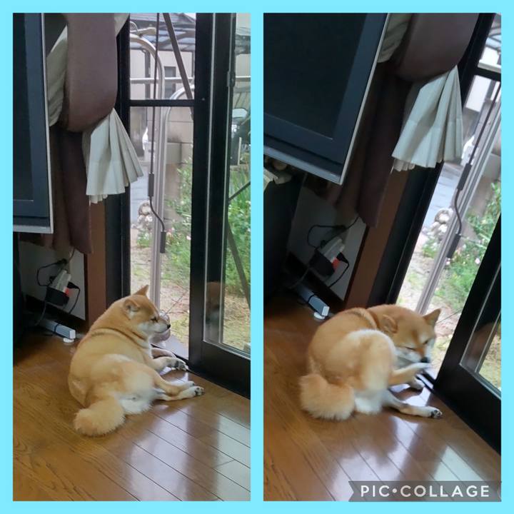 1c20e29c f176 4d81 9004 92f48ab9c89a 1750886572819