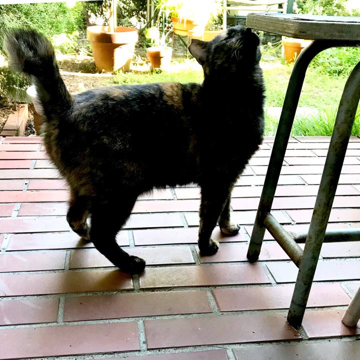 1c210183 0c60 4ce5 be92 52f7eecdeaf1 1535004574949