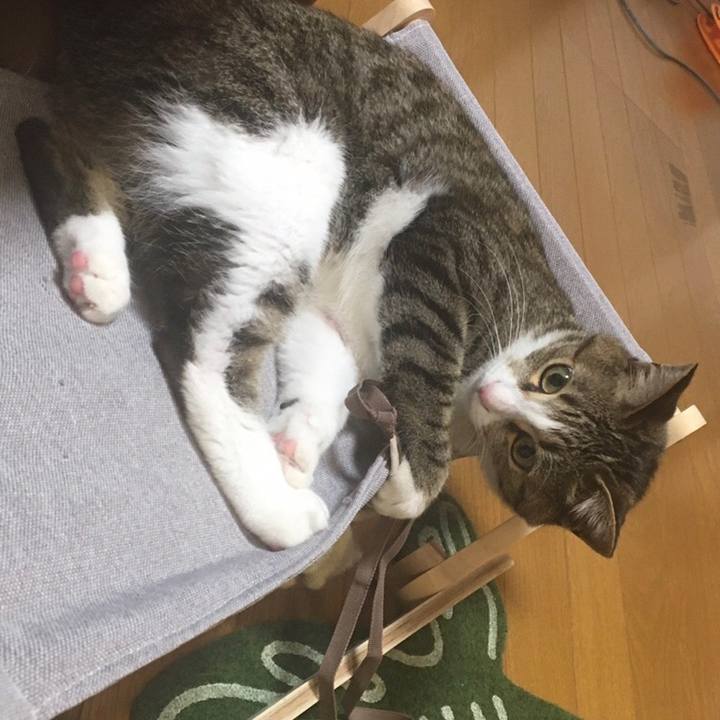 1c211e48 07b8 4af9 b515 21cc4b0a2269 1687665804850