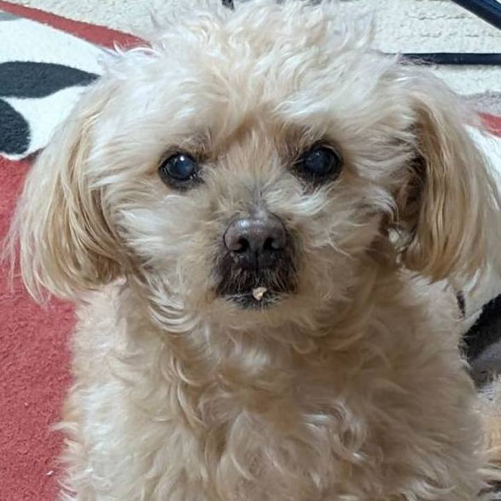 1c213cd9 7fc5 41d5 bbf3 d834a5d54651 1740825083096