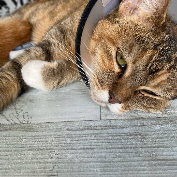 1c213d81 8a51 4549 a087 fc8593afc3ce 1630039639327