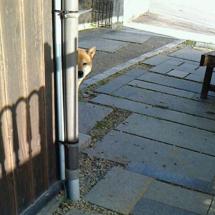 1c213ff5 0613 4013 ad7b 1c89eac8757f 1510367249967