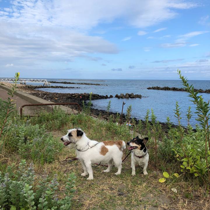 1c216988 237f 4580 ac68 1bf932894974 1533947337458