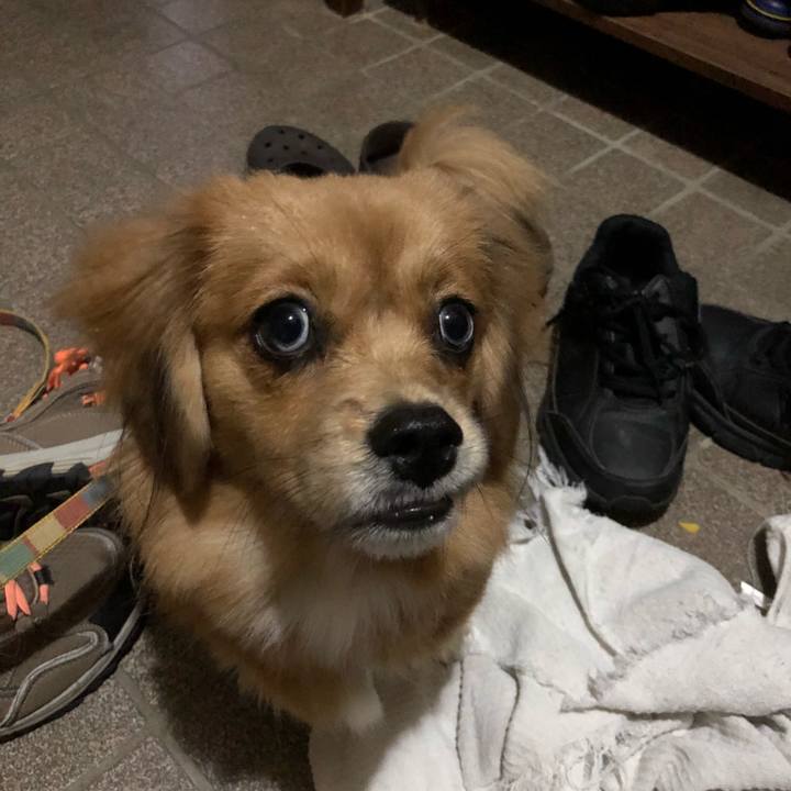 1c21adbb 3916 458d b5b2 3e655095e8ee 1509486532958