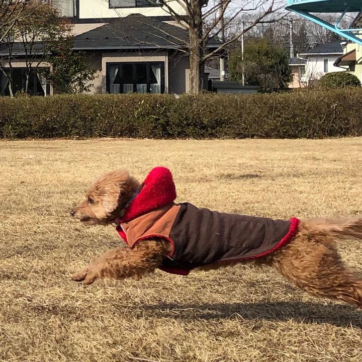 1c21c2bc 8e95 4b87 80c1 ee3883498c66 1548038177783