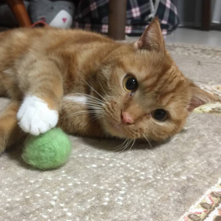 1c220ef9 9361 4a99 8545 c1a05b62e0b3 1552521164605