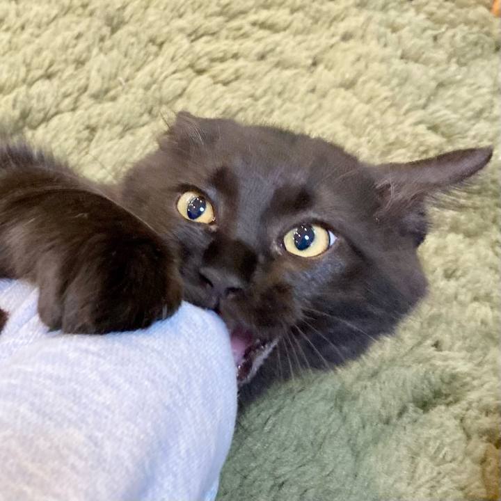 1c221504 108c 447c b214 6753048593b0 1702370792428