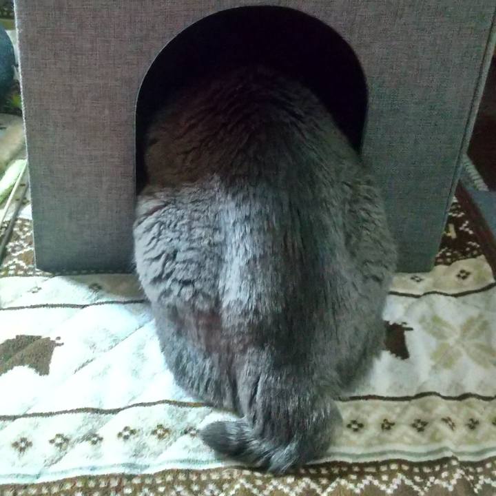 1c222409 119e 4a88 91b7 8ea2c0d9a54d 1679347601634