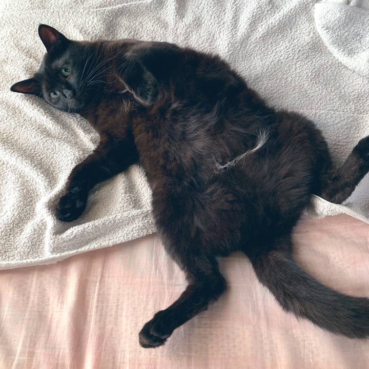 1c22703d d368 400a a6d0 7303809cbb6b 1564536700162