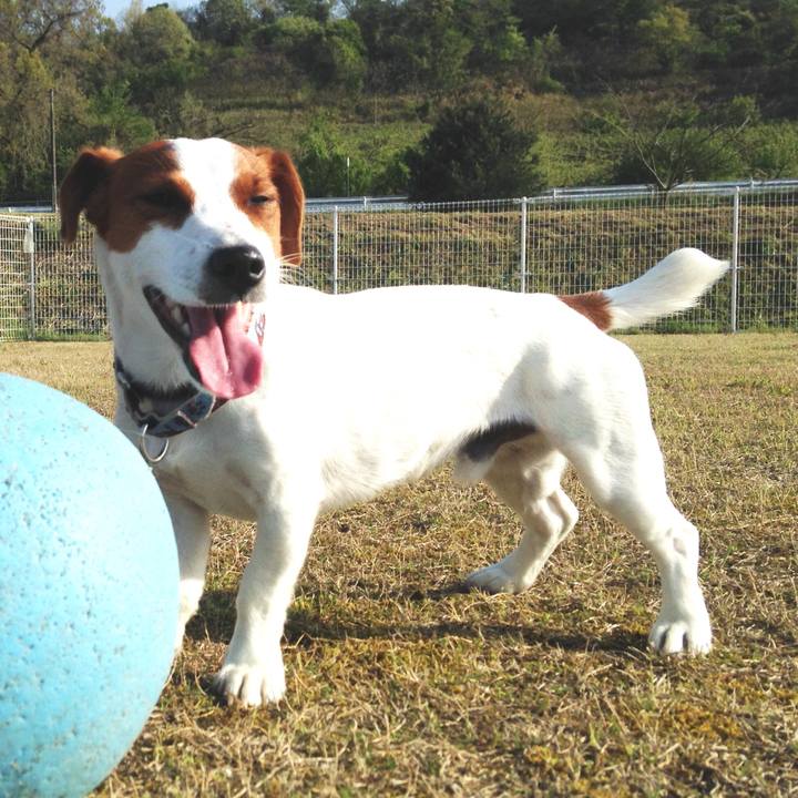 1c233e1f d544 4f10 91aa 9cea2253a23a 1524179463426