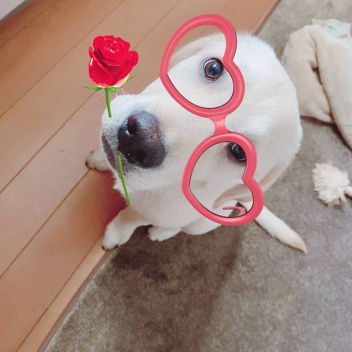 1c233e68 ccc9 4563 a3ee a411b205e6a7 1615871489790