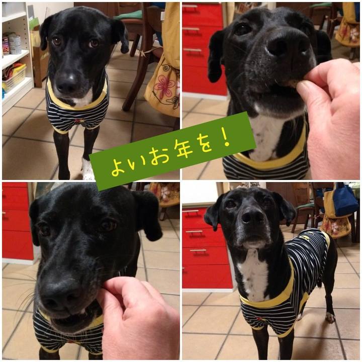 1c2368d7 2d7e 4e4e 8603 12bff897a34a 1609423644637