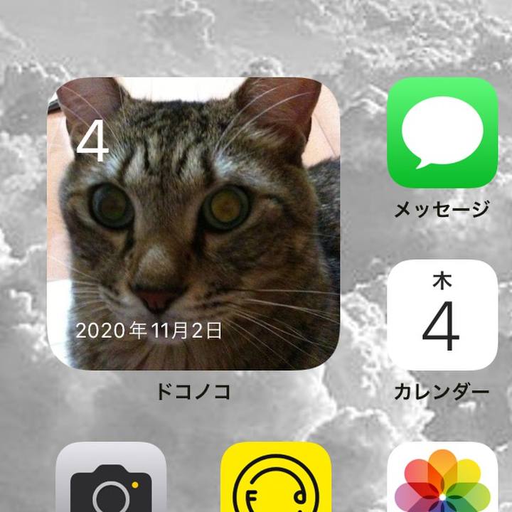 1c23cc8a b99b 4cd9 9e94 2880f57aceff 1636013201749