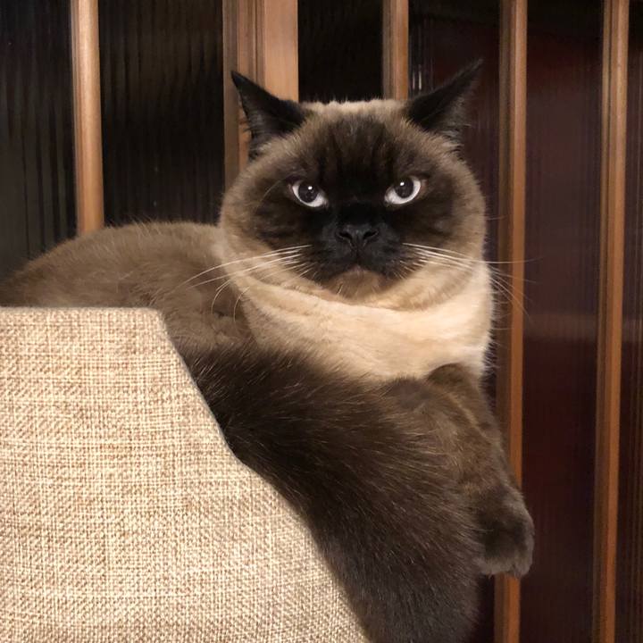 1c2433fa 0ad6 40bf bb82 13fa9e4b84ee 1615338765130