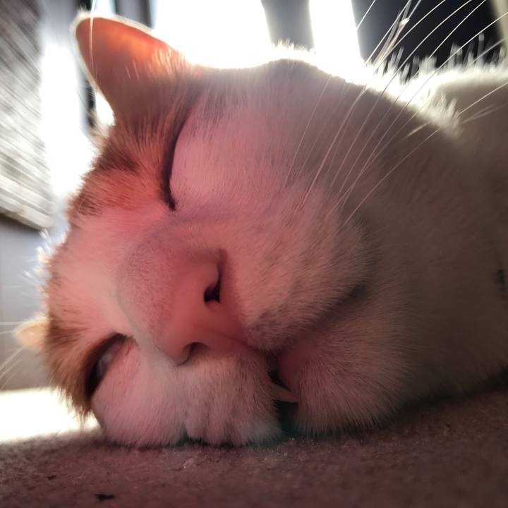 1c24964a 9efc 4a7d b4f9 4b1b43d9462b 1527687413008