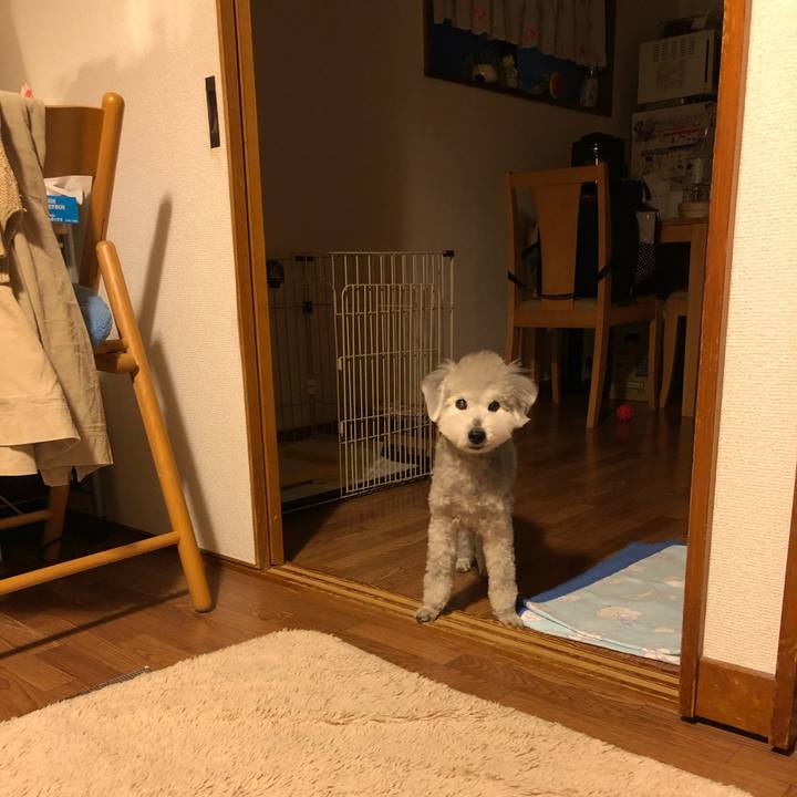 1c253c84 dc9e 42fb aab1 0c85390a25b7 1697411491687