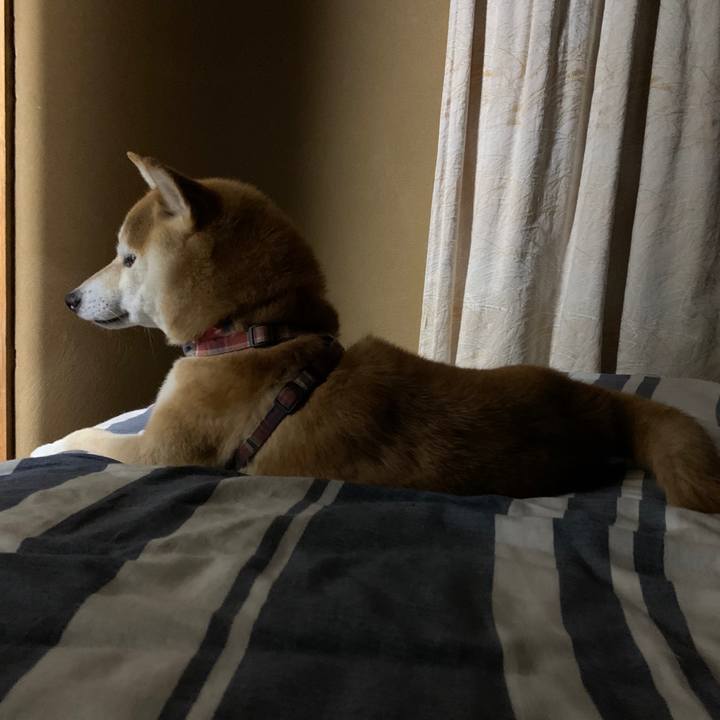 1c2547f0 0725 49eb a8ae 3f7fb25c2015 1571489395192