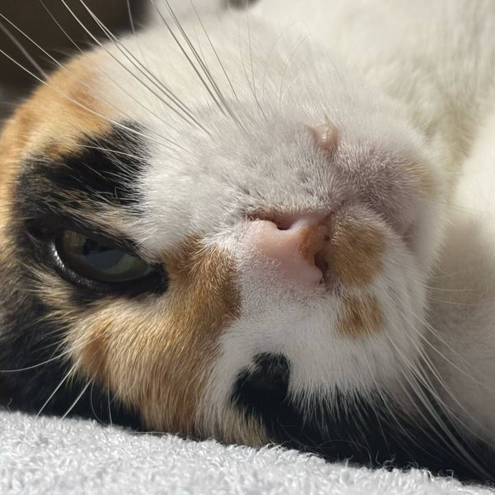 1c25929c 966d 4435 b86f 3f05b01de5b8 1775655687495