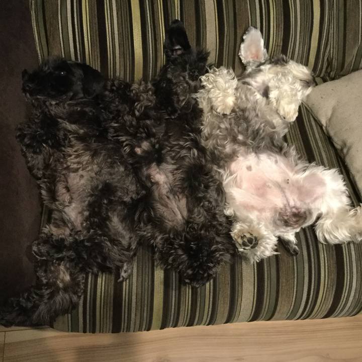 1c2595be a962 4d80 b64b c4589a01eaea 1507992585750