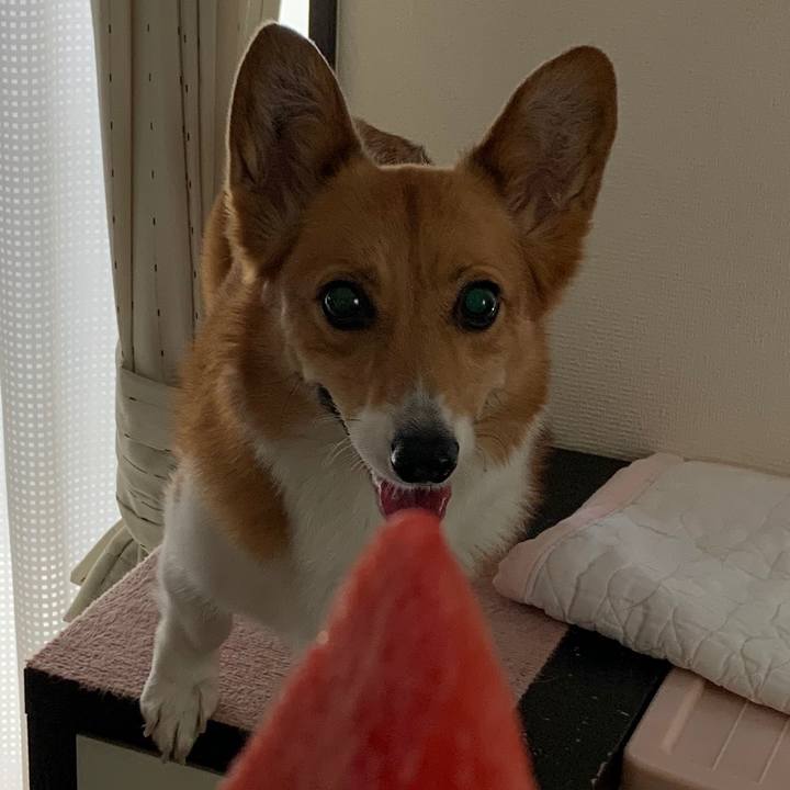 1c25b13f a706 44d6 8364 e3231db1c6f2 1593057510203