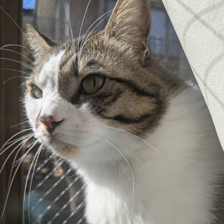 1c2622f6 b3d9 4114 868e 1d91c47dcc4a 1739248355783