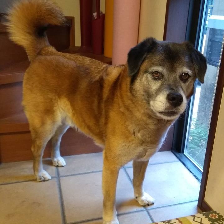 1c263e8e 0869 4ab3 9abd dbc5bb124d3a 1560506186209