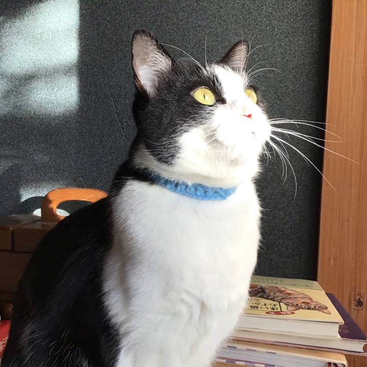 1c2646d1 fecd 4442 a566 155d355ebcbc 1735514298217