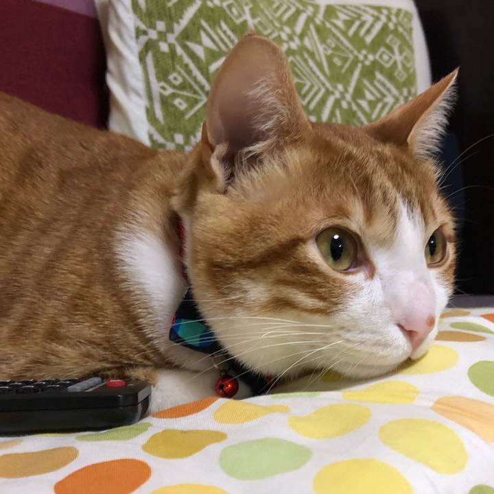 1c26c9ad d620 4cb4 a93c 872fbcd4a7aa 1520770919997