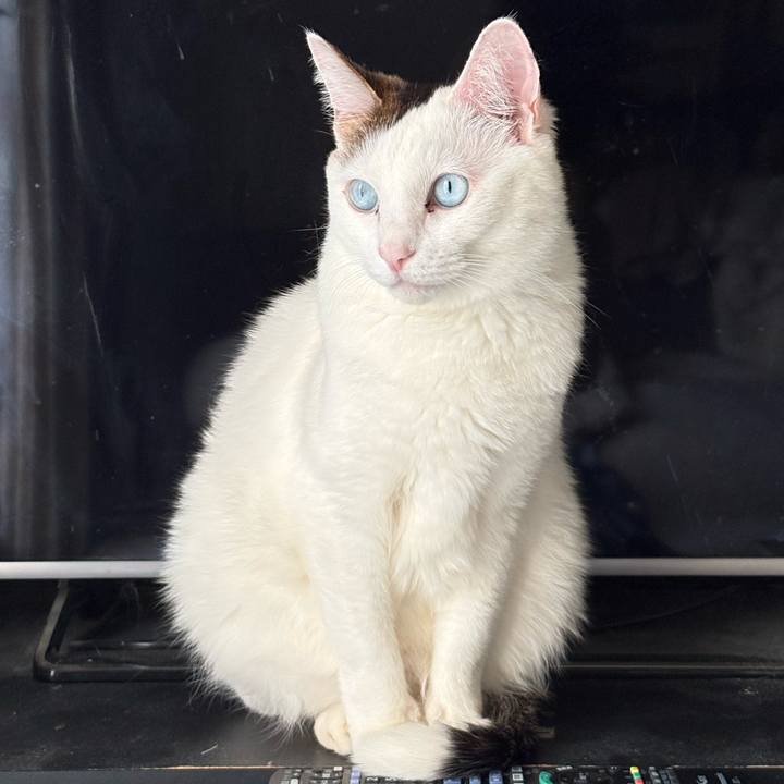 1c26d9f7 04ab 469f 831f 9e908f85fe7e 1772837081651