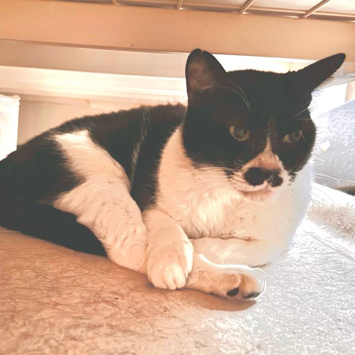 1c26f090 aa33 4b8a ac54 7ad0f5bf8fb7 1729903212752