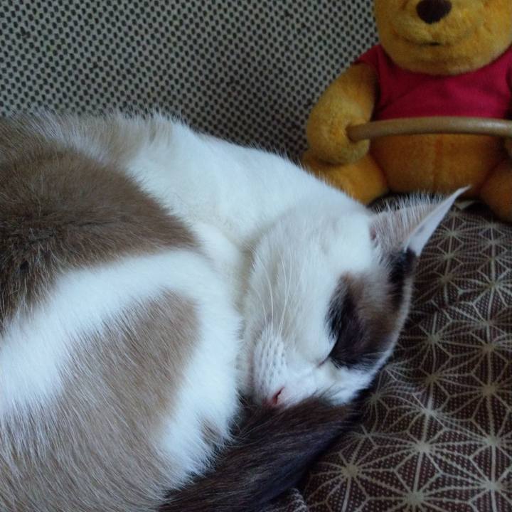 1c26f93d 6b86 4ea7 b5e2 f5484d1318d5 1518761009300