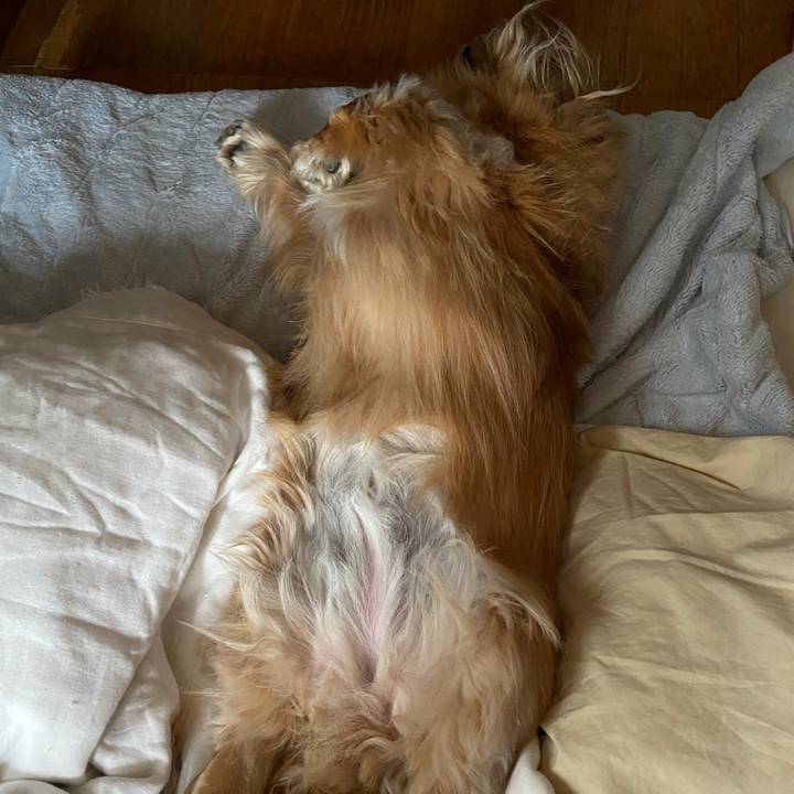 1c270bd8 0ac1 444c b8f9 b8a6869f49c9 1619668719186