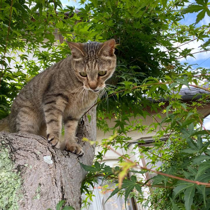 1c27118e 25c0 44cc a3a6 f47ab3e4734a 1592725858477