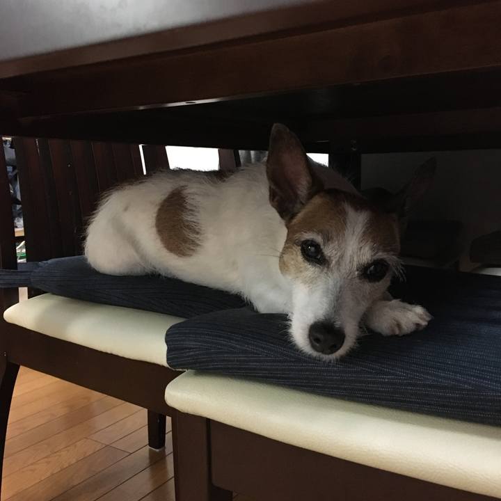 1c27133c 4bba 456c 8588 41c6e570d175 1655335231739