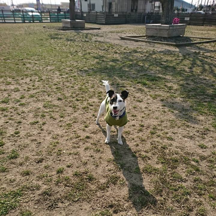 1c27463b eff9 42b2 8479 384ba01deb36 1519707234106