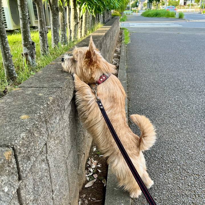 1c2753d3 84cc 4ca4 ad50 d7d0f931b70a 1757882848544