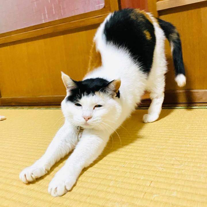 1c276719 d827 4f36 90b4 2c4595418fdb 1713997707408