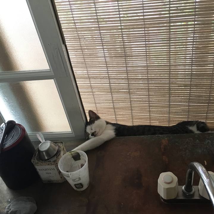 1c276bb9 c554 4ad6 a6fe fae2130e2ab5 1525669830565