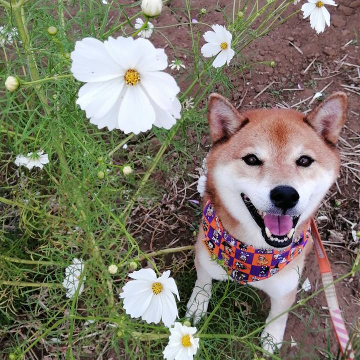 1c27904c ab69 4522 9235 adb0bfdd4e26 1664793299104