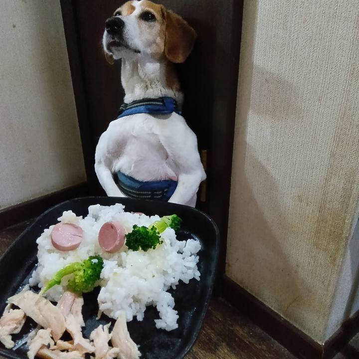 1c27bbe0 7d66 4dc9 9264 6454e06b2044 1747796596302