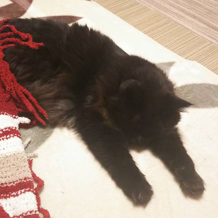 1c27ca43 58a6 4acc 88a9 889d06a6dd4b 1541853783923