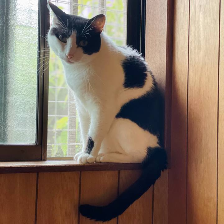 1c27e6ef e8f1 461c 9b57 e5f5d8d120ed 1629420030973