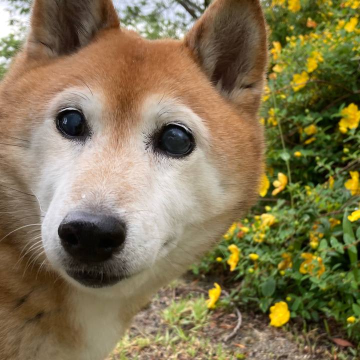 1c27ef61 1f55 4168 ae12 93b0aaa95cdd 1717138294553