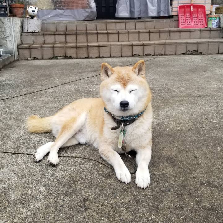 1c281c0a 811a 4eb6 b75b 5fac6048aff8 1705717186821