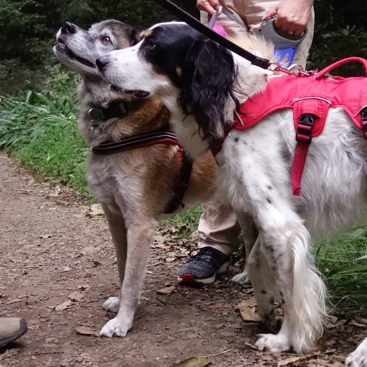 1c28443f 90ef 466f a22a 85ed1c8bc959 1569713753543